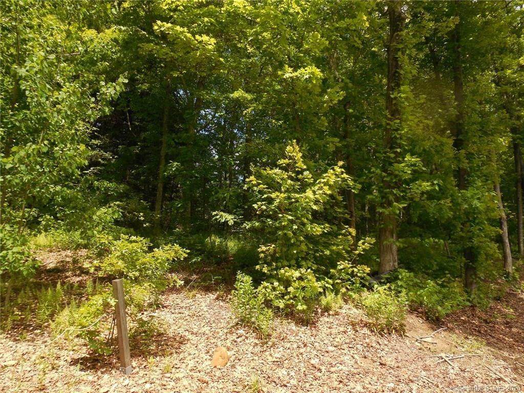 021A-4 Eagle Street - Photo 1