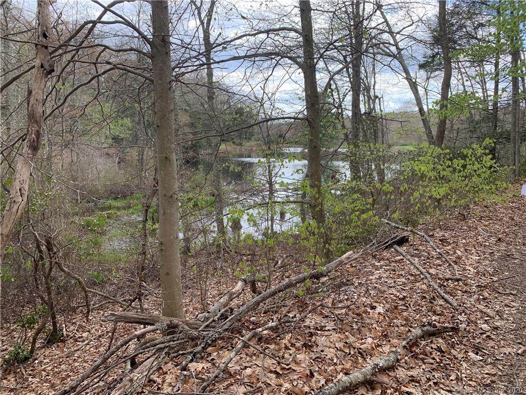 LOT 7 Sheepskin Hollow Road - Photo 1