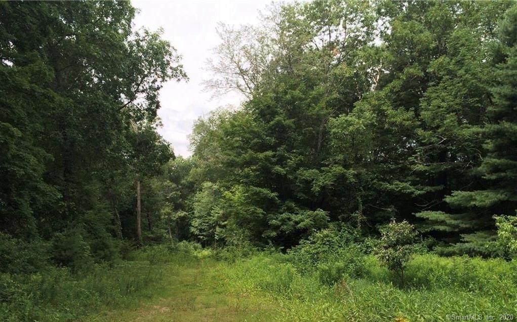 226 Goose Lane - Photo 1