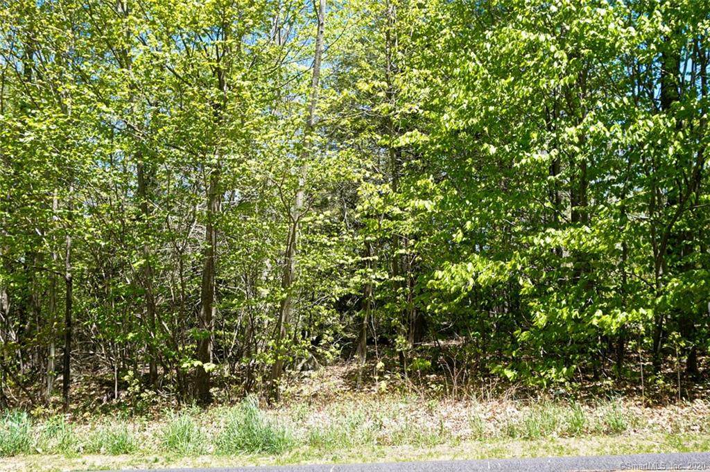 Lot 8A Eagle Ridge - Photo 1