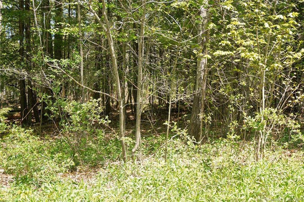 Lot 8B Eagle Ridge - Photo 1