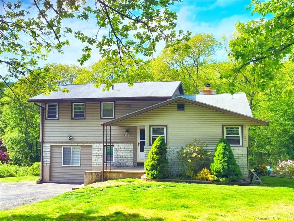 293 Burton Road - Photo 1