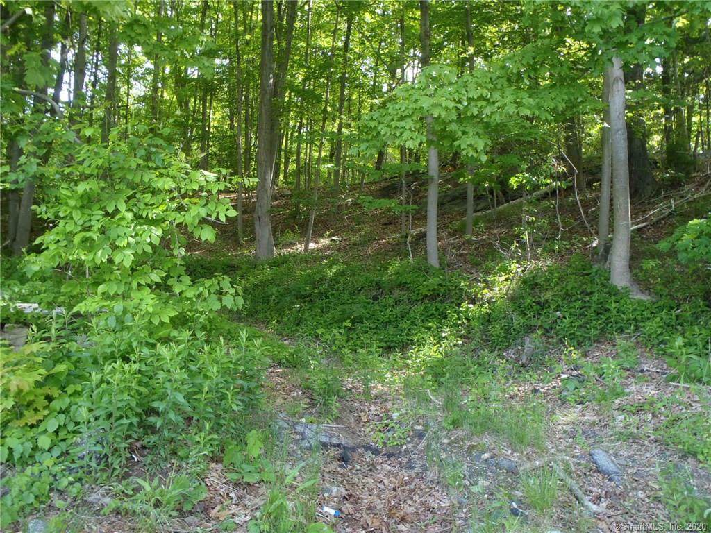 00 Wawecus Hill Road - Photo 1