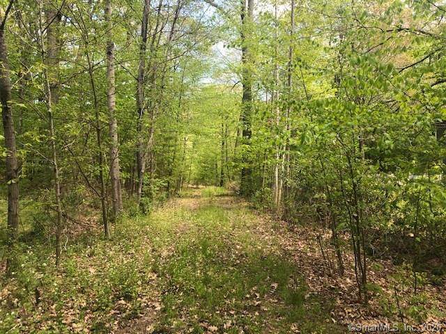 0 Pumping Station Lot #2 Road - Photo 1
