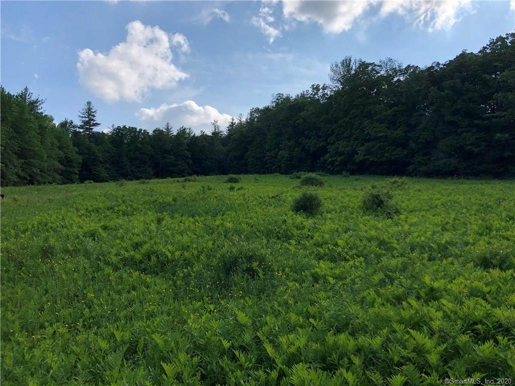 0000 Winsted-Norfolk Road - Photo 1