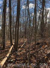 lot 103A Spindle Hill Road - Photo 1