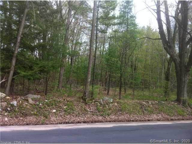 185 Music Mountain Road - Photo 1