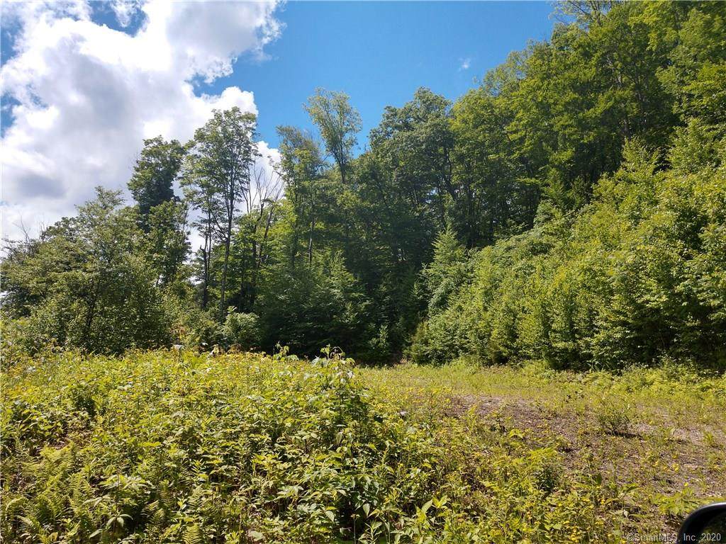 287 Colebrook Road - Photo 1