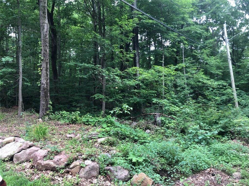 160 Gaylord Mountain Road - Photo 1