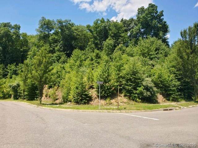 Lot 16 Krodel Road - Photo 1