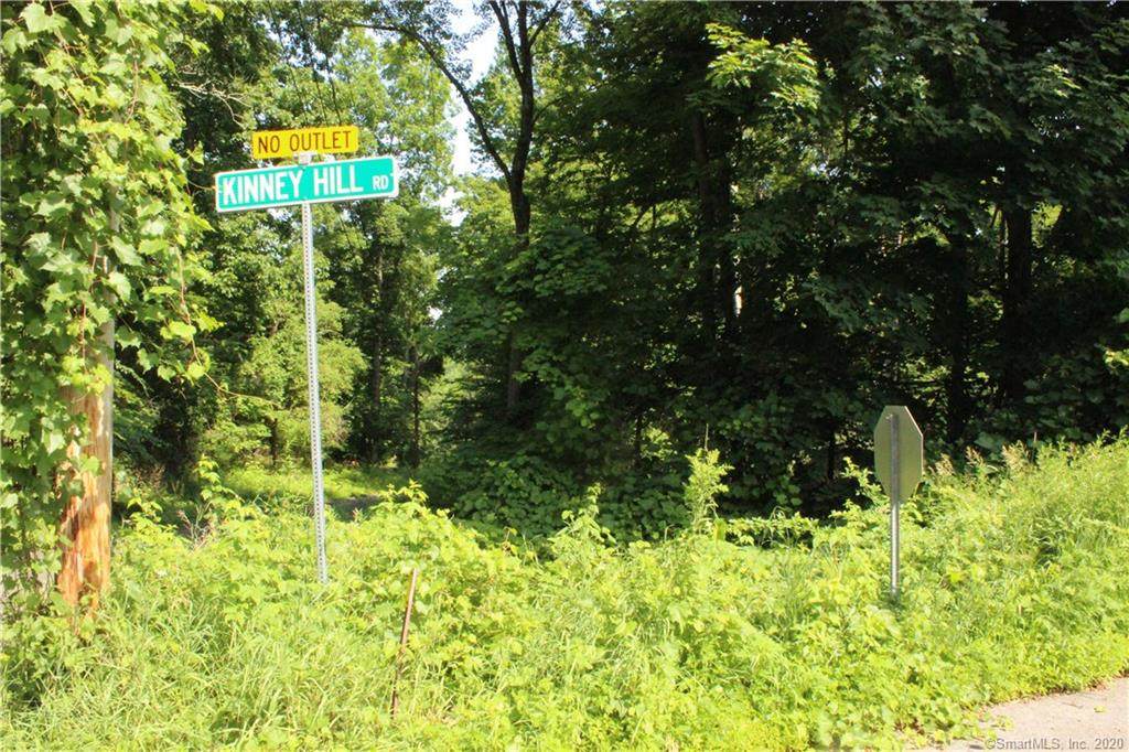 85 Kinney Hill Road - Photo 1