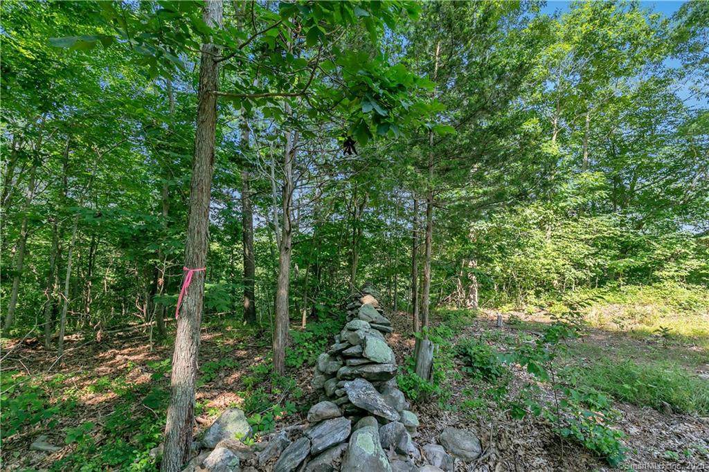 32 Carter Hill Road - Photo 1