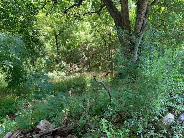 32 Poplar Street - Photo 1