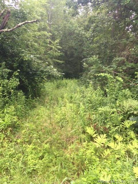 53 Todd Hill Road - Photo 1