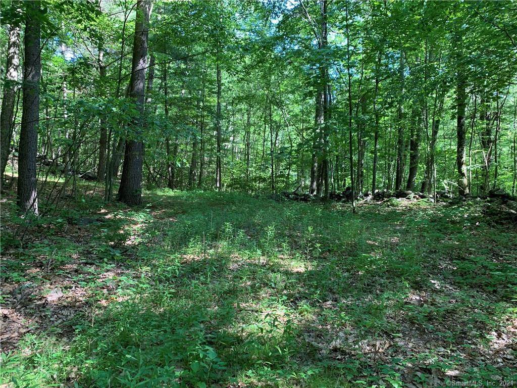 000 Whitcomb Hill Road - Photo 1