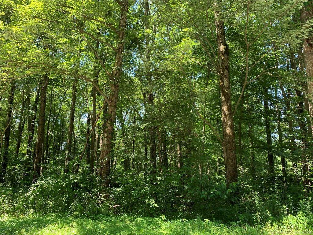 Lot 5 Sunset Lake Road - Photo 1