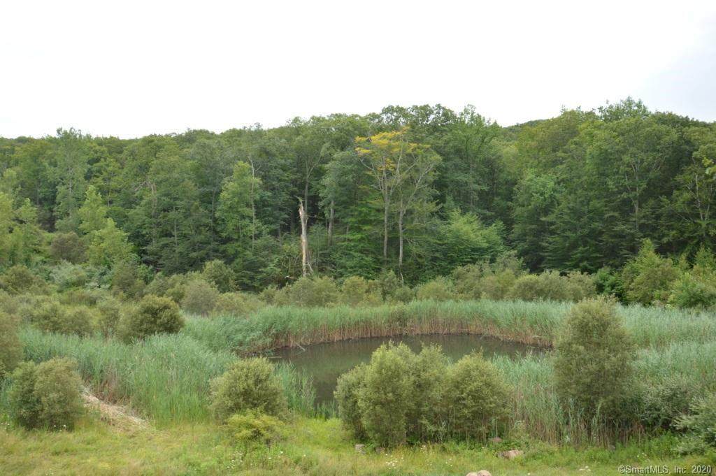 1 Ives (49 Acres) Court - Photo 1
