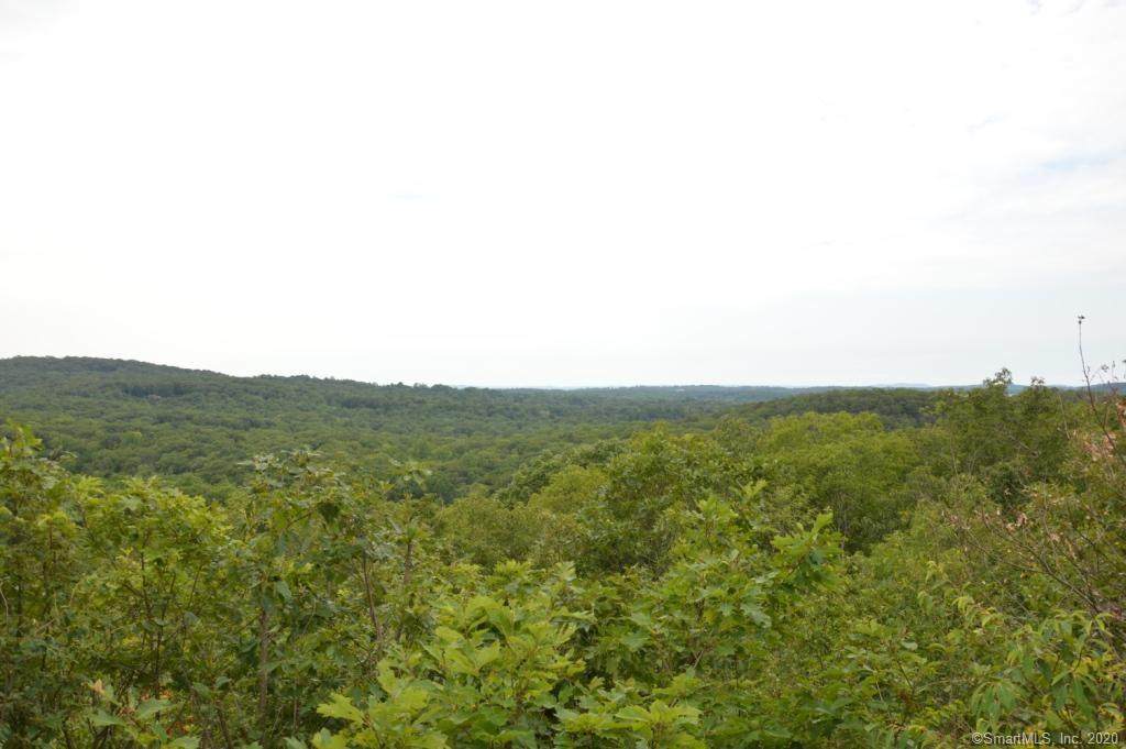 1A.1B Ives (10 Acres) Court - Photo 1