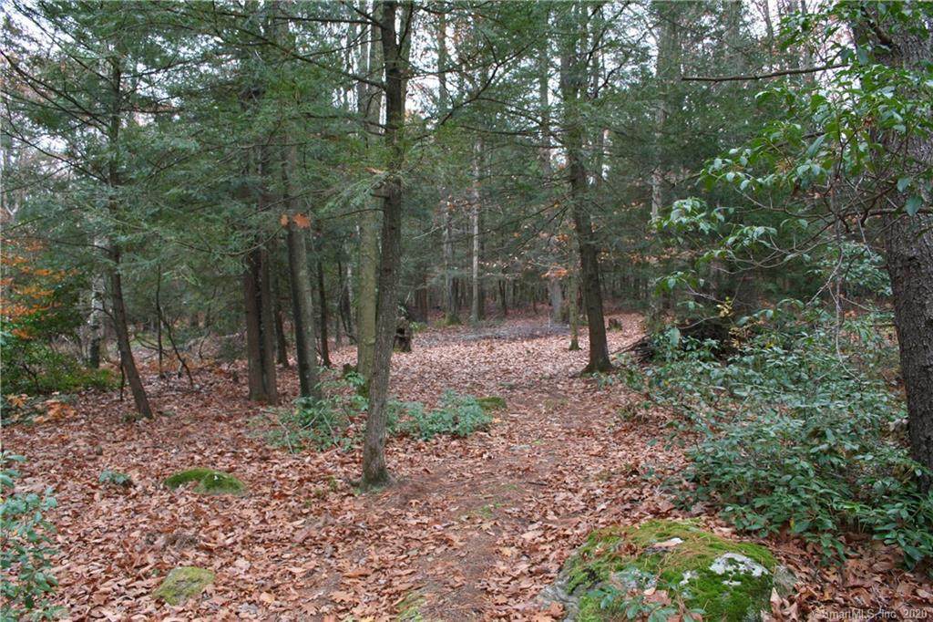 581 Litchfield Turnpike - Photo 1