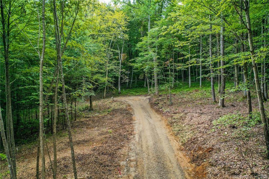 177 Flag Swamp Road - Photo 1