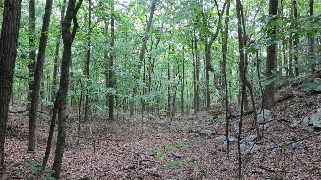5 Hemlock Trail - Photo 1