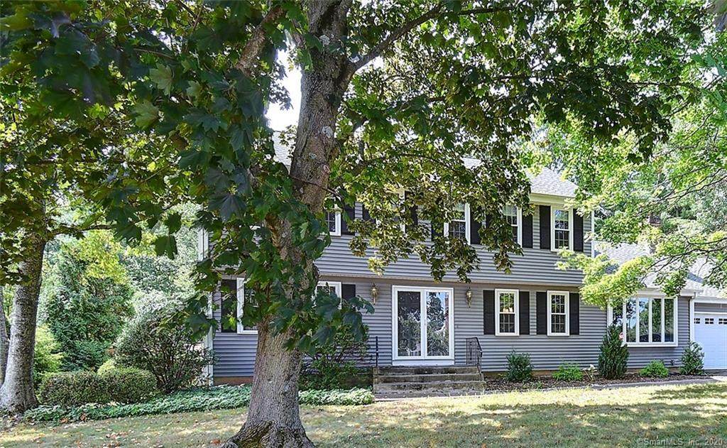 294 Hang Dog Lane - Photo 1