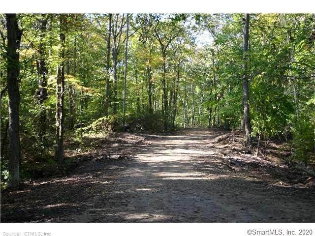 Lot C Harvey Road - Photo 1