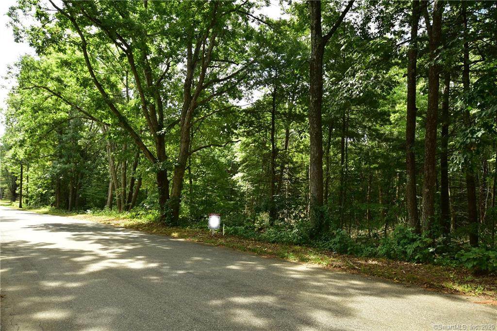 Lot 3 Lohse Road - Photo 1