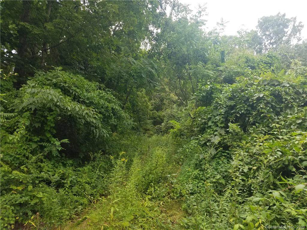 741 Old Stafford Road - Photo 1