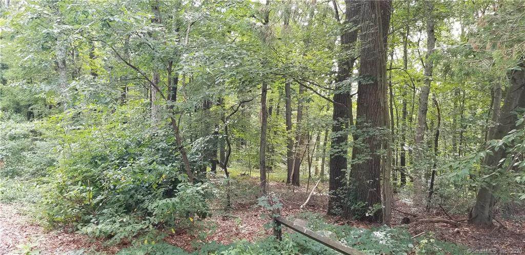 110 Birch Mountain Road - Photo 1