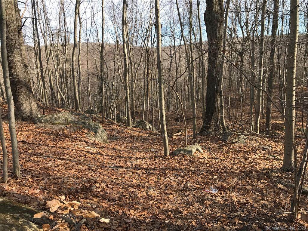 Lot 149 Alison Avenue - Photo 1