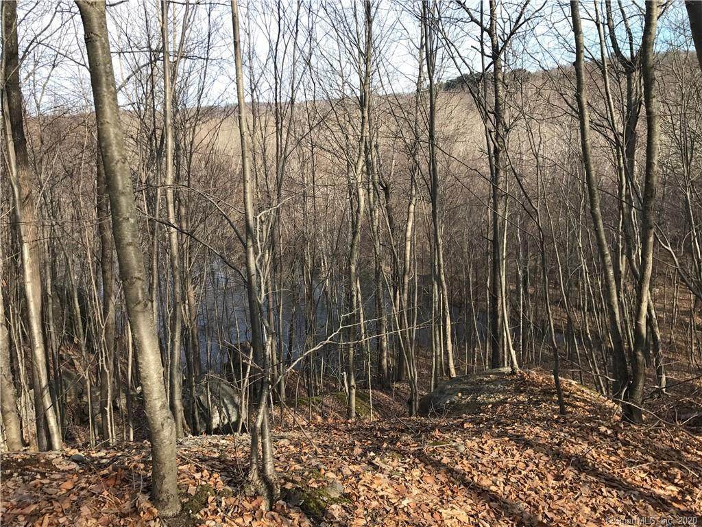 Lot 150 Alison Avenue - Photo 1