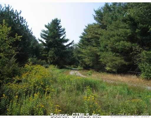 5 Maple View Trail - Photo 1