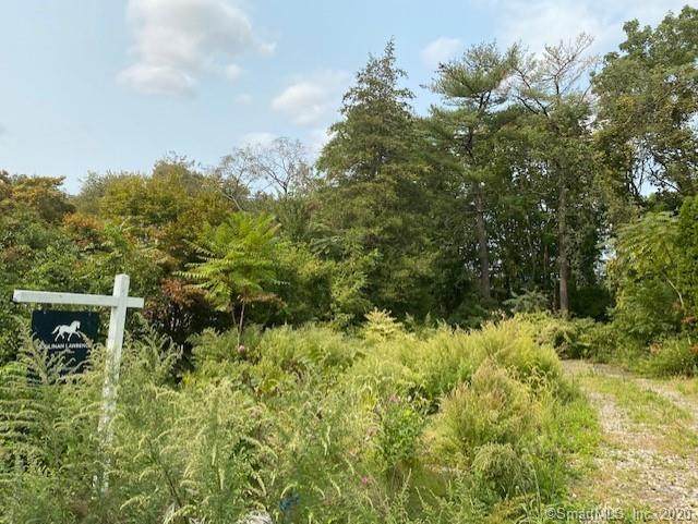 59 Maple Street - Photo 1