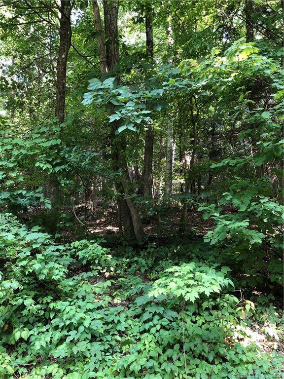 36 Old Sharon Rd 3 - Photo 1