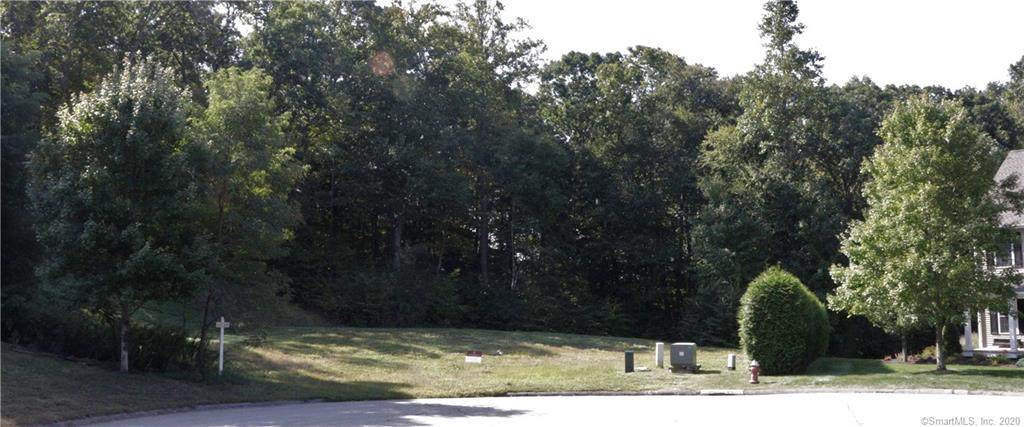 10 Pear Grove - Photo 1