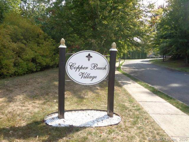 35 Copper Beech Lane - Photo 1