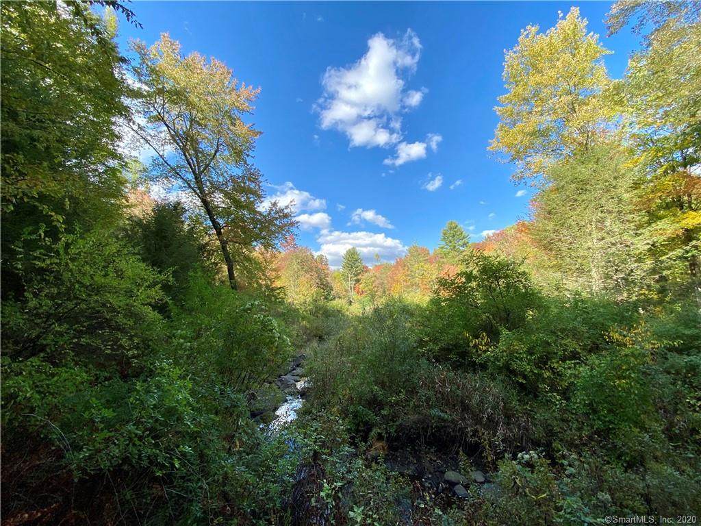 00 Cream Hill Road - Photo 1