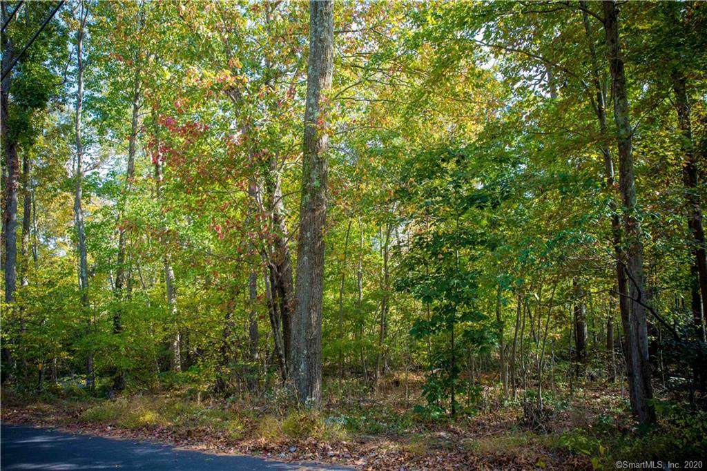 00 Plains Road - Photo 1