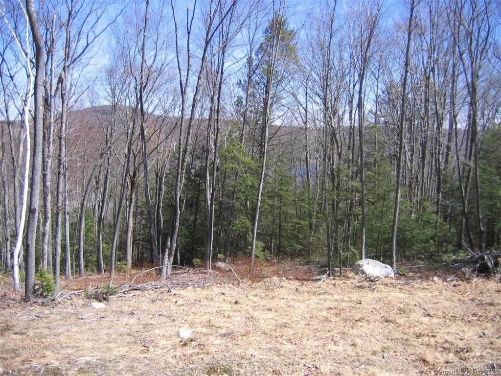 98 Reaching Hill Road - Photo 1