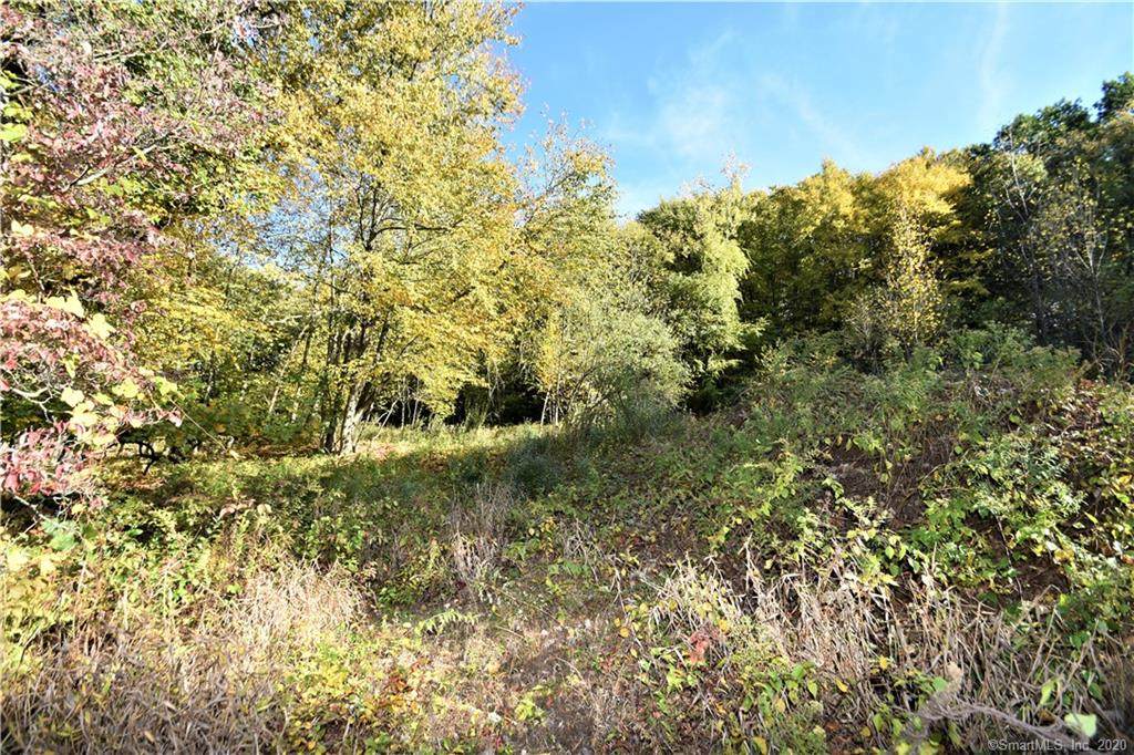 497A Wickham Road - Photo 1