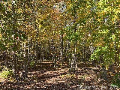 87 Old Hayrake Lane - Photo 1