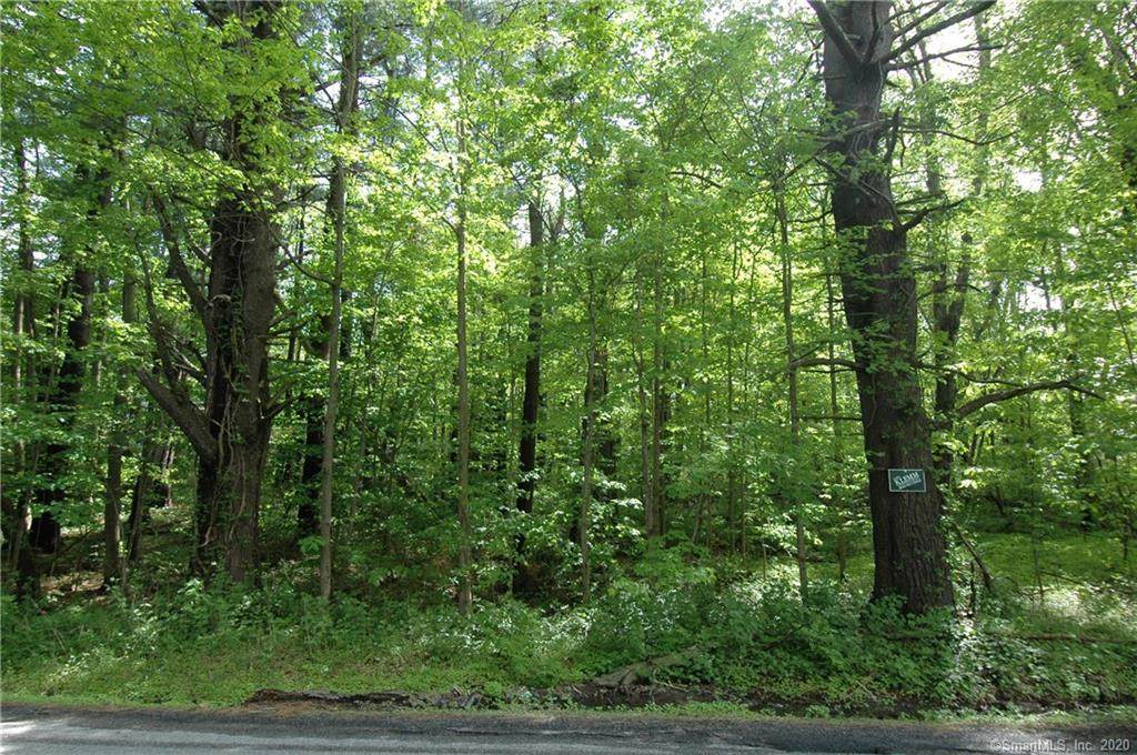 00 Campville Road - Photo 1