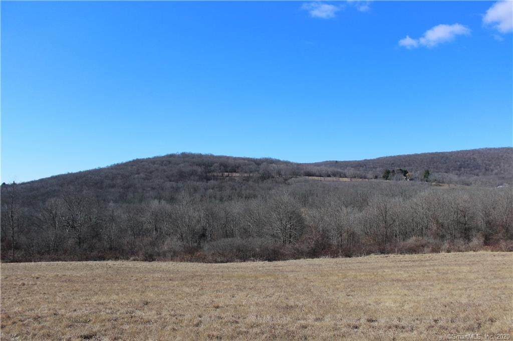 215 Sawyer Hill Road - Photo 1