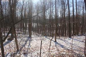 121 Aunt Hack Road - Photo 1