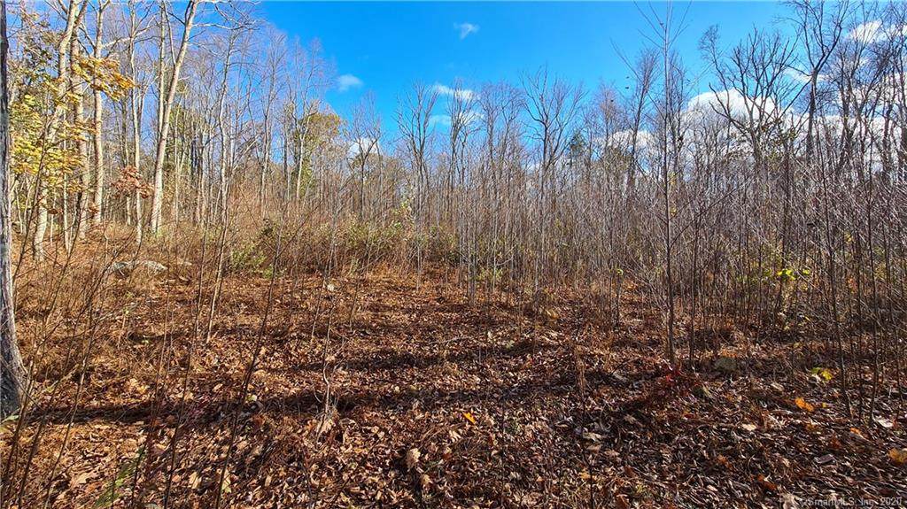 295 Providence Turnpike - Photo 1