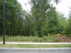 181 Garth Road - Photo 1