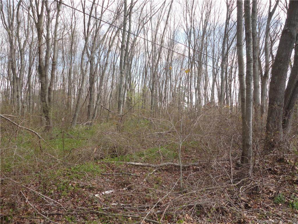 Lot 1 Westchester Road - Photo 1