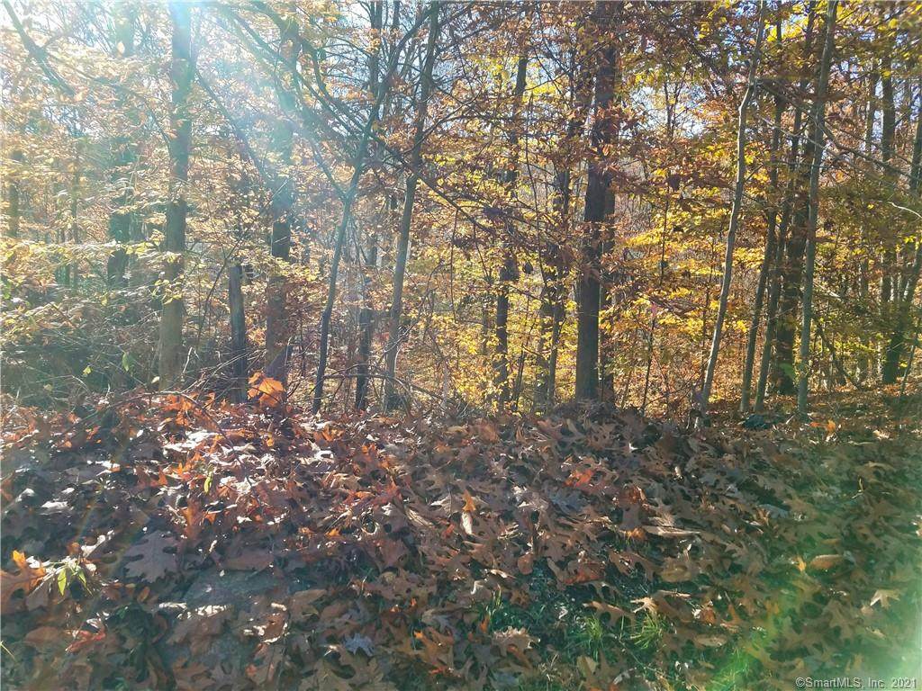 0 Good Hill Road - Photo 1