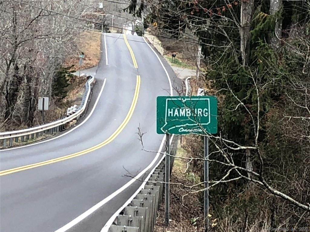 0 Hamburg Road - Photo 1
